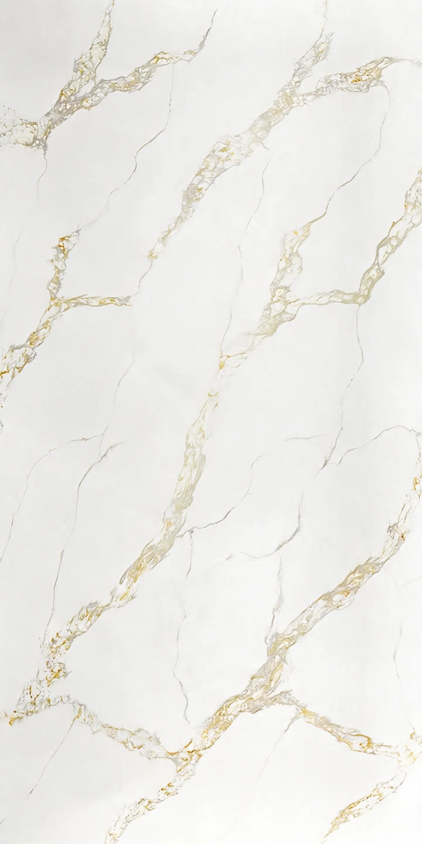 P323 Quartz
