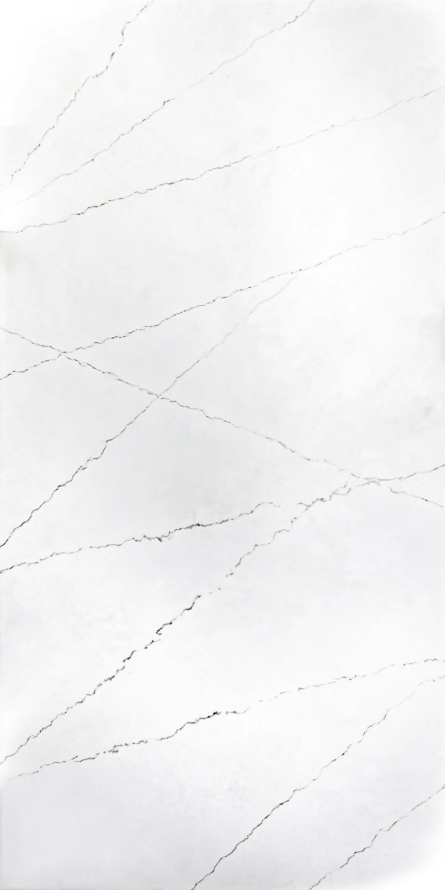 P802 Quartz