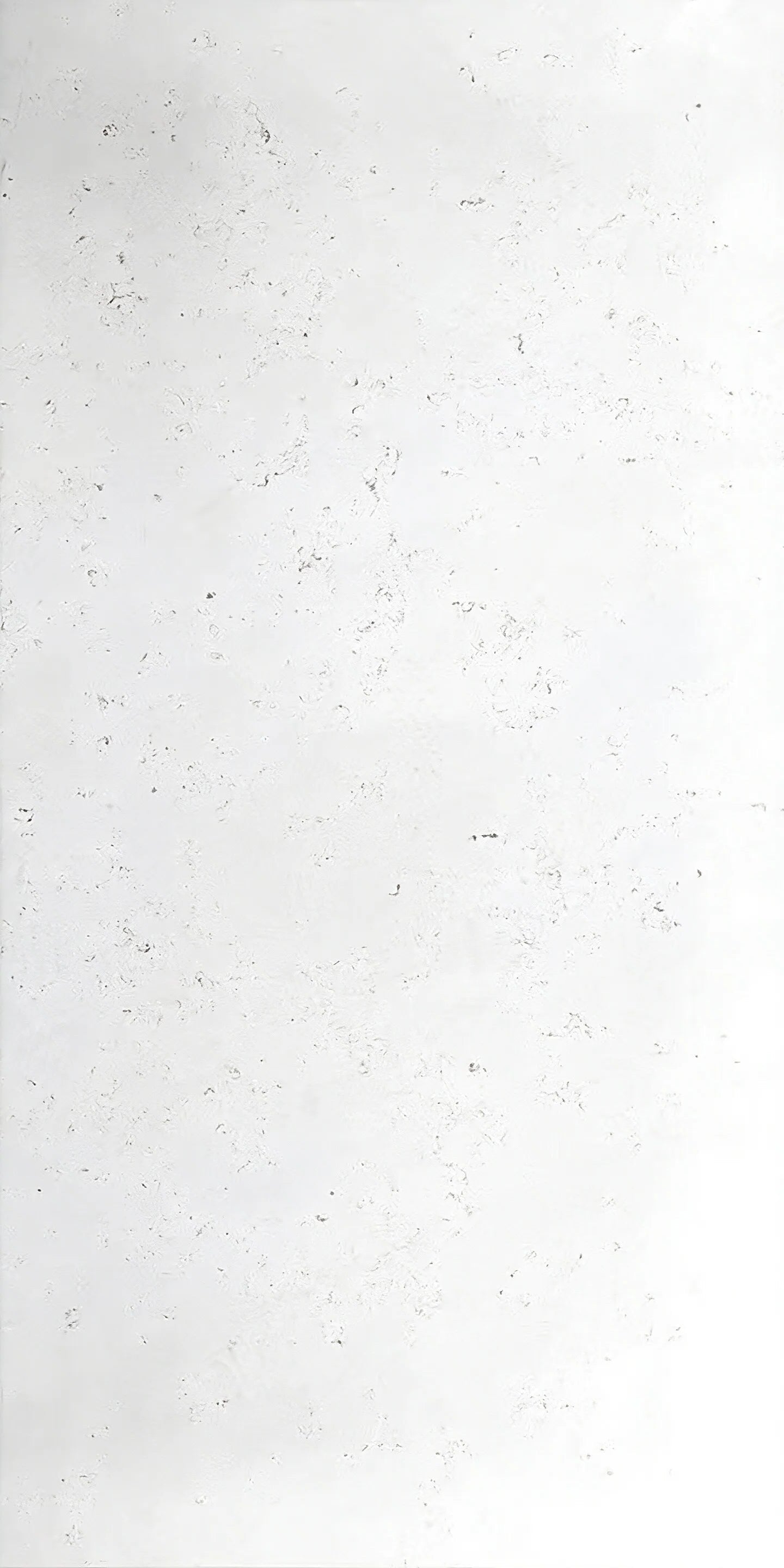 P811 Quartz