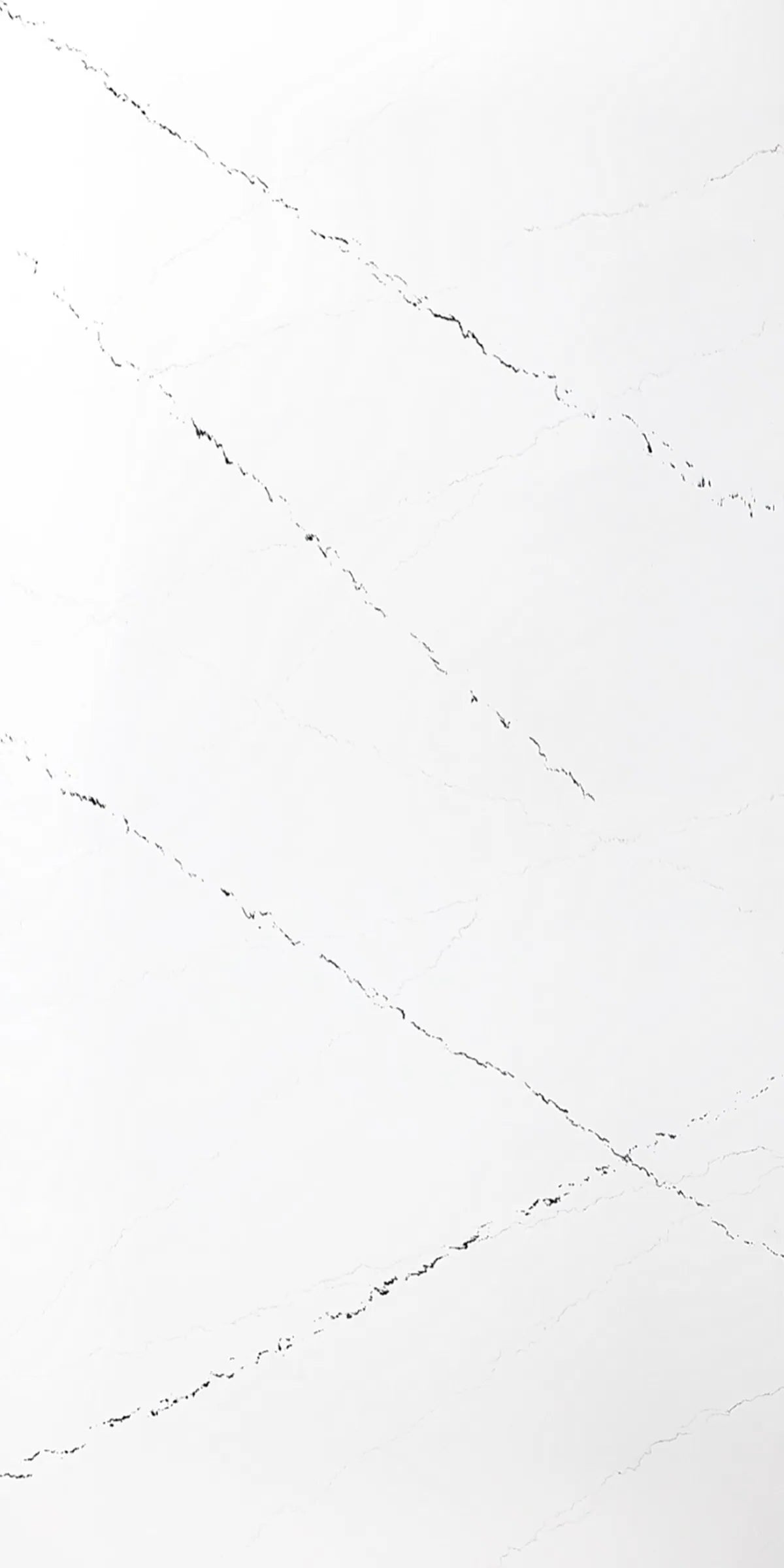P813 Quartz