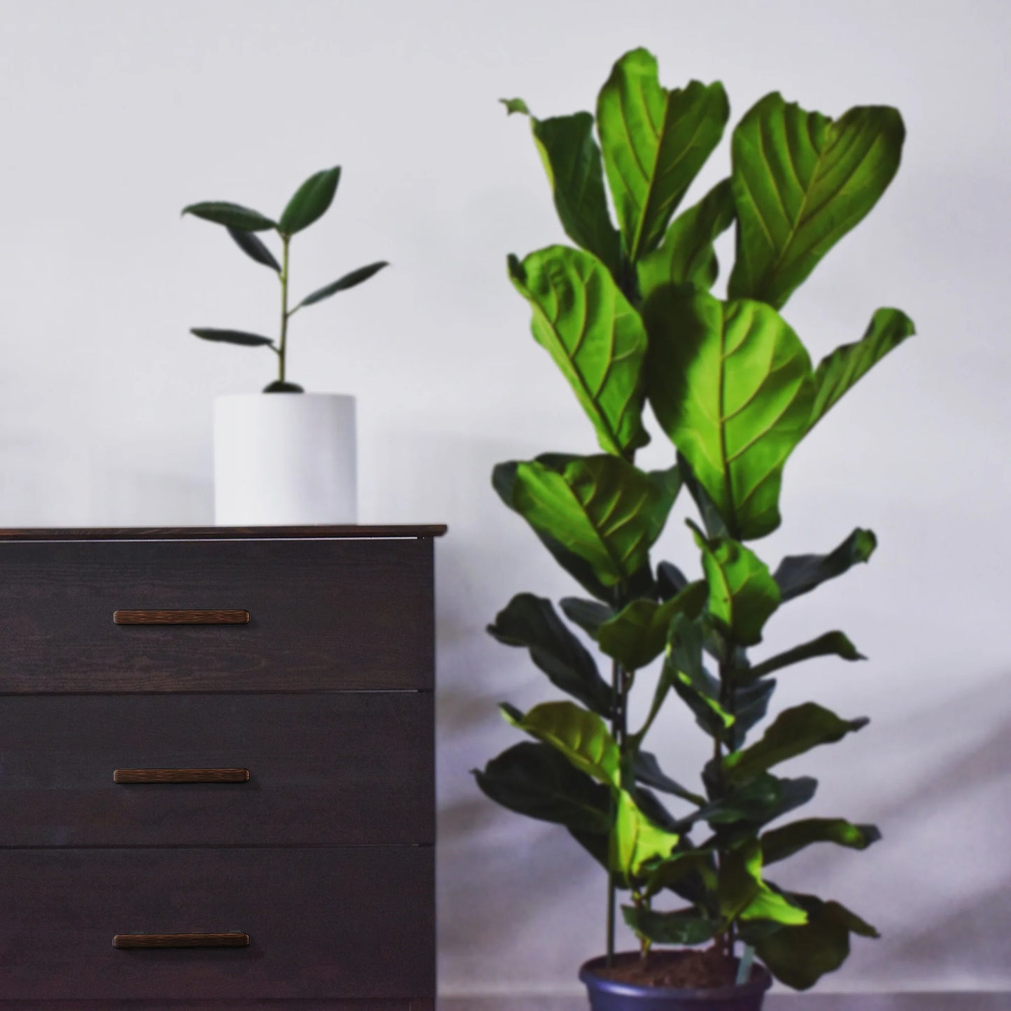 Modern Curved Edge Flat Bar Pull